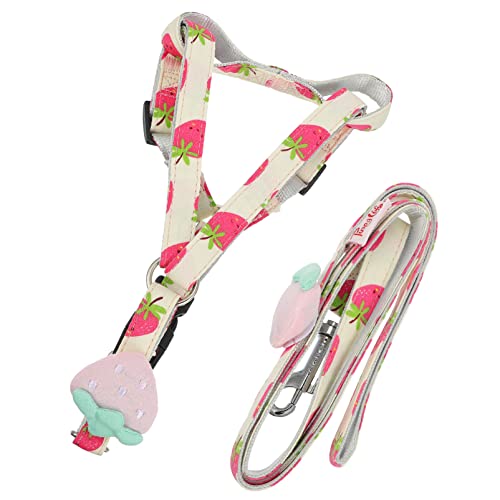 BCOATH Dog Pulling Rope Verstellbare Hundeleine Mit Frischem Obstdesign Für Sicheres Gassigehen Und Training Breit Strapazierfähig Und Praktisch Für Kleine Und Mittelgroße Hunde von BCOATH