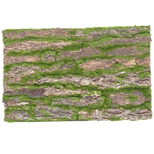 BCOATH Reptilien Baumrinde Terrarium Rückwand Natürlicher Kork Hintergrund Kletterplattform für Gecko Chamäleon Lebensraum Dekoration Langlebig und Wasserfest BCOATH Reptilien Baumrinde Terrarium Rückwand Natürlicher Kork Hintergrund Kletterplattform für Gecko Chamäleon Lebensraum Dekoration Langlebig und Wasserfest von BCOATH