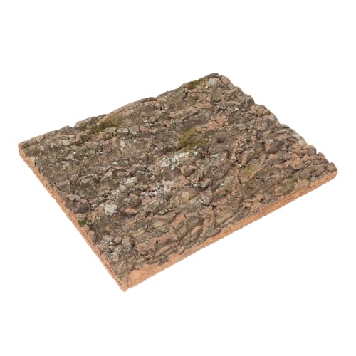 BCOATH Reptilien Terrarium Dekoration Korkrinde Kletterwand Natürlich Robust Für Eidechsen Gecko Bartagamen Geeignet von BCOATH