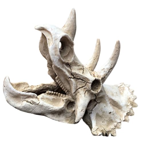 BCOATH Resin Dinosaur Skull Aquarium Dekoration Langlebig Realistische Höhle Versteck für Garnelen und Kleine Fische Geeignet für Fischbecken und Terrarien BCOATH Resin Dinosaur Skull Aquarium Dekoration Langlebig Realistische Höhle Versteck für Garnelen und Kleine Fische Geeignet für Fischbecken und Terrarien von BCOATH