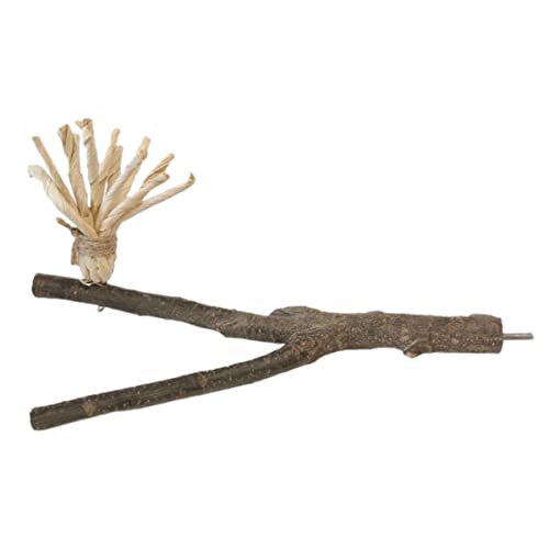 BCOATH Natürliche Papagei Kauen Spielzeug Vogel Beißen Spielzeug Holz Barsch Vogel Langeweile Schleifen Kratzen Klaue von BCOATH
