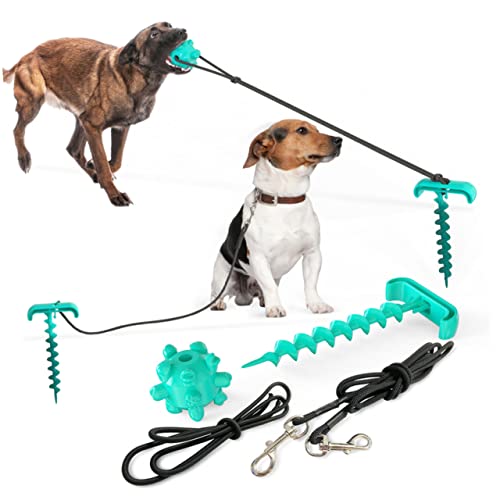 BCOATH Set Tether Cable Pile ABS Ground Nail Cable Outdoor Toy The Dog Screw Dog Head Camping Playset Ground Pile Fixed Rod Puppy Leash Pet Rope Big Dog Outdoor Dog Walk The Dog von BCOATH