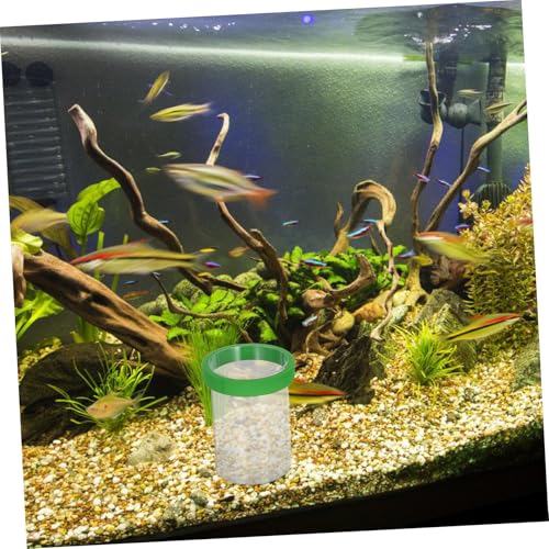 BCOATH Transparente Floating Inkubator mit Trennwand und Ei Netz für Ausbrüten von Guppys und Kleinen Fischen Aquarien BCOATH Transparente Floating Inkubator mit Trennwand und Ei Netz für Ausbrüten von Guppys und Kleinen Fischen Aquarien von BCOATH
