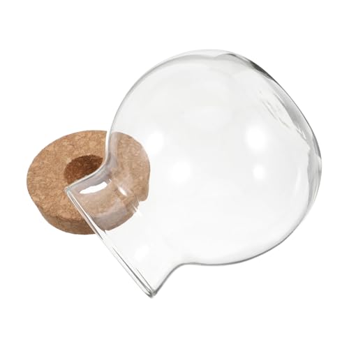 BCOATH Transparente Hydroponische Glasflasche mit Korkverschluss Rundes Micro landschafts Terrarium Vielseitige Pflanzvase für Wasserpflanzen Fische Moos Sukkulenten und Luftpflanzen BCOATH Transparente Hydroponische Glasflasche mit Korkverschluss Rundes Micro landschafts Terrarium Vielseitige Pflanzvase für Wasserpflanzen Fische Moos Sukkulenten und Luftpflanzen von BCOATH