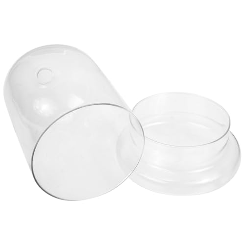 BCOATH Transparente Mikrolandschaft Glasflasche mit Öffnung DIY Moos Terrarium Vase für Wohnraum Balkon Büro Kreative Pflanzendekoration BCOATH Transparente Mikrolandschaft Glasflasche mit Öffnung DIY Moos Terrarium Vase für Wohnraum Balkon Büro Kreative Pflanzendekoration von BCOATH