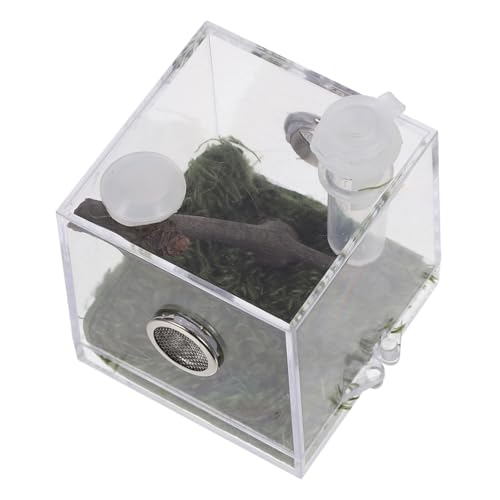 BCOATH Transparente Reptilien Zuchtbox aus Robustem Acryl Langlebiges Terrarium für Spinnen und Schnecken Praktische Fütterungsbox mit Bruchsicherem Design Geeignet für Vogelspinnen und BCOATH Transparente Reptilien Zuchtbox aus Robustem Acryl Langlebiges Terrarium für Spinnen und Schnecken Praktische Fütterungsbox mit Bruchsicherem Design Geeignet für Vogelspinnen und von BCOATH