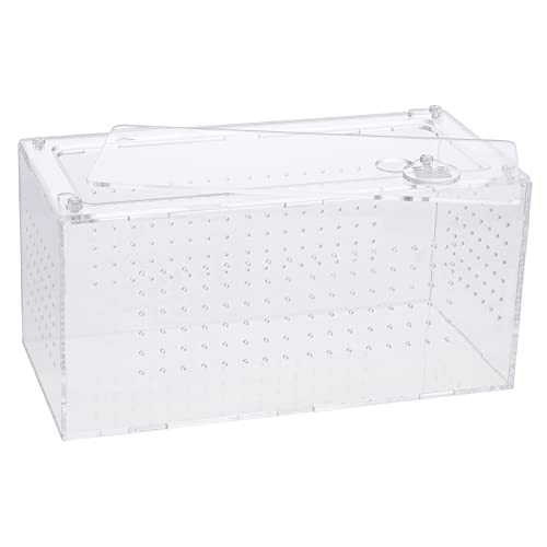 BCOATH Transparente Reptilienbox Multifunktionale Fütterungsbox für Spinnen Schlangen Eidechsen Frösche mit Lüftungsöffnungen und Sicherem Design Großes Terrarienzubehör BCOATH Transparente Reptilienbox Multifunktionale Fütterungsbox für Spinnen Schlangen Eidechsen Frösche mit Lüftungsöffnungen und Sicherem Design Großes Terrarienzubehör von BCOATH