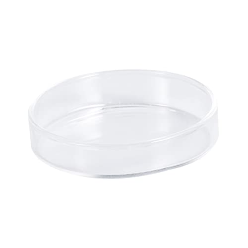 BCOATH Eleganter Garnelen-futternapf Aus Glas Mehrzweck-futterspender Für Fische Und Reptilien Als Aquarium- (größe 8) von BCOATH