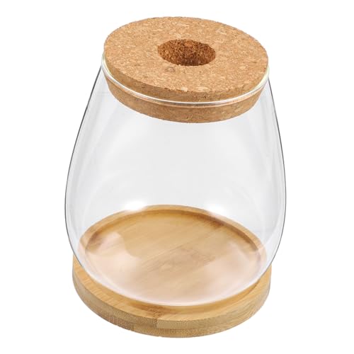 BCOATH Transparentes Glas-sukkulenten-Arrangement Mit Halter Hydroponische Blütenvase Im Modernen Stil Für Büro Und Zuhause Inklusive Bambusdeckel Und Holzstäbchen BCOATH Transparentes Glas-sukkulenten-Arrangement Mit Halter Hydroponische Blütenvase Im Modernen Stil Für Büro Und Zuhause Inklusive Bambusdeckel Und Holzstäbchen von BCOATH