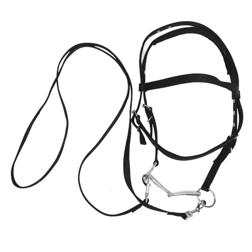 BCOATH Vielseitiges Pferdetrainings-seilhalfter Aus Nylon. Einfaches Und Stilvolles Pferdetrainings-Seil-Zaumzeug Für Verschiedene Pferdegrößen Und Aktivitäten BCOATH Vielseitiges Pferdetrainings-seilhalfter Aus Nylon. Einfaches Und Stilvolles Pferdetrainings-Seil-Zaumzeug Für Verschiedene Pferdegrößen Und Aktivitäten von BCOATH