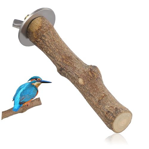 BCOATH Vogelklauenschärfer Papageien Sitzstange Vogelkäfige Spielzeug Papageien Sitzstange Für Kleine Vögel Holz Sitzstangen Halterung Vogel Sitzstangen Für Käfig Papageien BCOATH Vogelklauenschärfer Papageien Sitzstange Vogelkäfige Spielzeug Papageien Sitzstange Für Kleine Vögel Holz Sitzstangen Halterung Vogel Sitzstangen Für Käfig Papageien von BCOATH