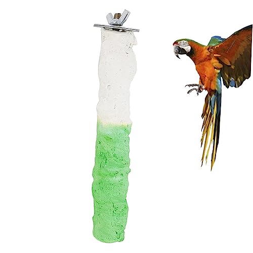 BCOATH Vogel-haustierständer Papageienständer Stange Vogelkletterständer Papageienständer Stock Spielzeug Für Vögel Stein Zufällige Farbe BCOATH Vogel-haustierständer Papageienständer Stange Vogelkletterständer Papageienständer Stock Spielzeug Für Vögel Stein Zufällige Farbe von BCOATH