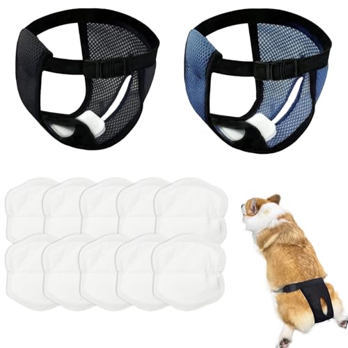 2er Pack Höschen für Hunde Läufigkeit, Läufigkeitshose Hund Wiederverwendbare, Hunde Höschen mit 10 Damenbinden, Einstellbar schutzhose hündin, Waschbare Schutzhose, Schwarz und Blau, L 2er Pack Höschen für Hunde Läufigkeit, Läufigkeitshose Hund Wiederverwendbare, Hunde Höschen mit 10 Damenbinden, Einstellbar schutzhose hündin, Waschbare Schutzhose, Schwarz und Blau, L von BCYSNR