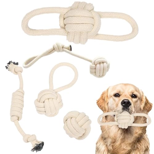 BDBFPAN 5 Stück Hundespielzeug Unzerstörbar, Hundespielzeug, Unzerstörbares Hundespielzeug Langlebig, Robust Und Ästhetisch Ansprechend Welpenspielzeug für Mittlere Bis Große Hunde & Kleine Hunde BDBFPAN 5 Stück Hundespielzeug Unzerstörbar, Hundespielzeug, Unzerstörbares Hundespielzeug Langlebig, Robust Und Ästhetisch Ansprechend Welpenspielzeug für Mittlere Bis Große Hunde & Kleine Hunde von BDBFPAN