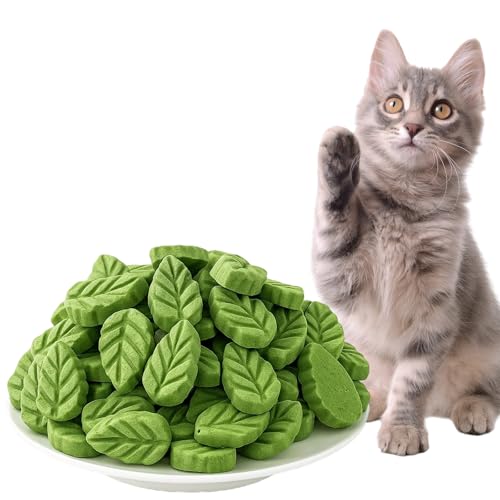 Blattform Katzengras Snack, Katzengras Leckerlies Für Zahnpflege, Katzenminze 50g Für Tägliche Hygiene Und Training Blattform Katzengras Snack, Katzengras Leckerlies Für Zahnpflege, Katzenminze 50g Für Tägliche Hygiene Und Training von BDBFPAN
