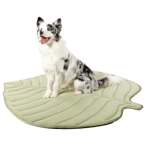 BDCPMT Kühlmatten for Hunde, groß, blattförmig, rutschfest, for Haustiere, blattförmige Katzenbettunterlage aus Baumwolle, leicht, waschbar, große Kühlmatte for Haustiere, weich und bequem(Green,L) BDCPMT Kühlmatten for Hunde, groß, blattförmig, rutschfest, for Haustiere, blattförmige Katzenbettunterlage aus Baumwolle, leicht, waschbar, große Kühlmatte for Haustiere, weich und bequem(Green,L) von BDCPMT