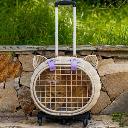 Handgewebter Rattan-Haustier-Kinderwagen mit Rädern und Teleskopgriff, Haustier-Trolley-Koffer for den Außenbereich for Spazierengehen und Reisen(White) von BDCPMT