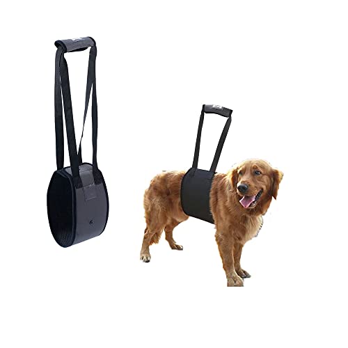BDHI 1 x Hundegeschirr für Hunde, Hunde, Hebeband, wasserdicht, mit Griff zum Anheben von Haustieren, Hinterbeinen für Hunde, schwache Beine, Operationen, Rehabilitation (Y124-1) von BDHI