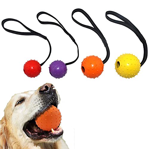 BDHI Hundespielzeug, 5 x 30 cm, für kleine und mittelgroße und große Hunde, 4 Stück von BDHI