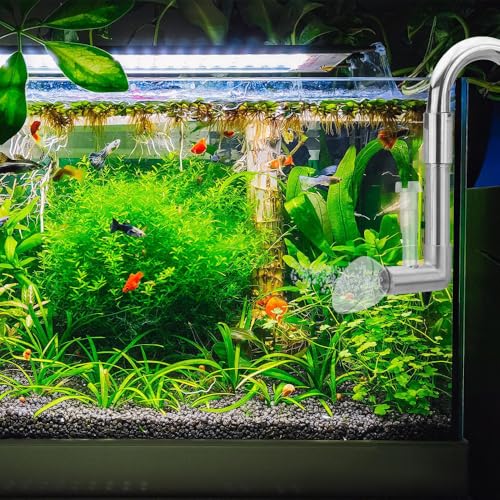 BDKMMS Aquatic Lily Pfeifen-Set, 12 mm/16 mm, für Aquarium, Lilienrohr, Abfluss, Abschäumer für bepflanzte Aquarien von BDKMMS