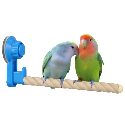 Saugnapf Vogelsitzstange, 20 cm, tragbarer Papageienständer aus Holz mit Saugnapf, rutschfester Vogelständer für Fenster, Spiegel, Auto, Reisen, Dusche Saugnapf Vogelsitzstange, 20 cm, tragbarer Papageienständer aus Holz mit Saugnapf, rutschfester Vogelständer für Fenster, Spiegel, Auto, Reisen, Dusche von BDKMMS