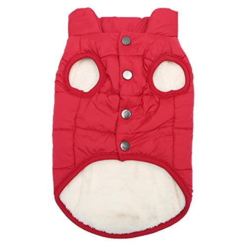 1 Stück Herbst Winter Warm Haustier Katze Kleidung Für Katzen Weich, Rot, S von BDSTT