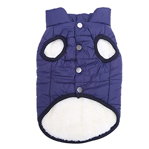 1 Stück Herbst Winter Warm Haustier Katze Kleidung Für Katzen Weichblau, XL von BDSTT