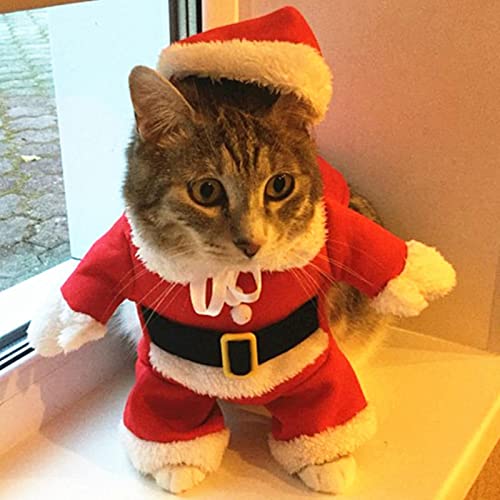 1 Stück Kleidung Hunde Neujahr Haustier Katze, Rot, L von BDSTT