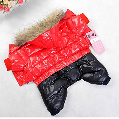 Winter-Hundekleidung für kleine Hunde, wasserdicht, Rot, 16 Stück von BDSTT
