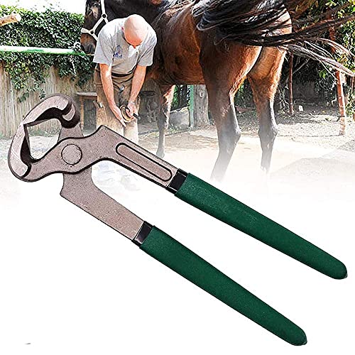 BDXZJ Hufzange, Hufzange für Pferde, Hufschuh Hufschmied Huf Werkzeug Zange, Professionelle Pferde Schneiden Horse Equine Farriers Cutter Griffmesser Werkzeuge, Grün von BDXZJ