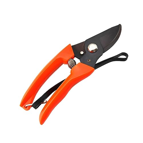 BE-TOOL 1 Stück Huf Trimmerschere, Mehrzweck 3cr13 Edelstahl Schere Garten Baumschnitt Schere für Schafe Lämmer Hufe Pferde Trimmen (Gebogen) von BE-TOOL