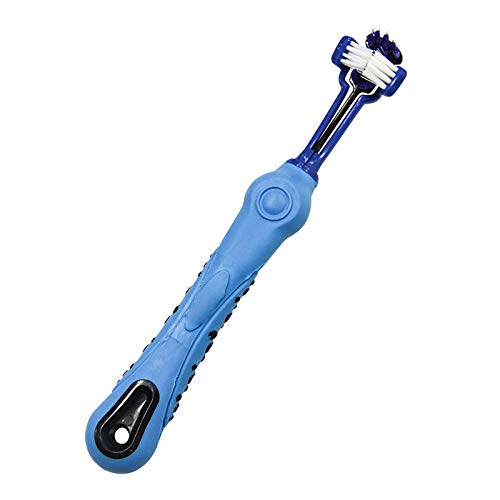 BE-TOOL Blau 1Stück 3-seitiges Hundezahnbürsten-Set, Kunststoff-Multicolor-Dreikopf-Haustierzahnbürste für Hunde und Katzen für kleine bis große Hunde Maulreinigung von BE-TOOL