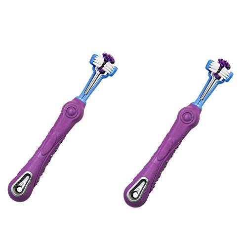 BE-TOOL Violett 2Stück 3-seitiges Hundezahnbürsten-Set, Kunststoff-Multicolor-Dreikopf-Haustierzahnbürste für Hunde und Katzen für kleine bis große Hunde Maulreinigung von BE-TOOL