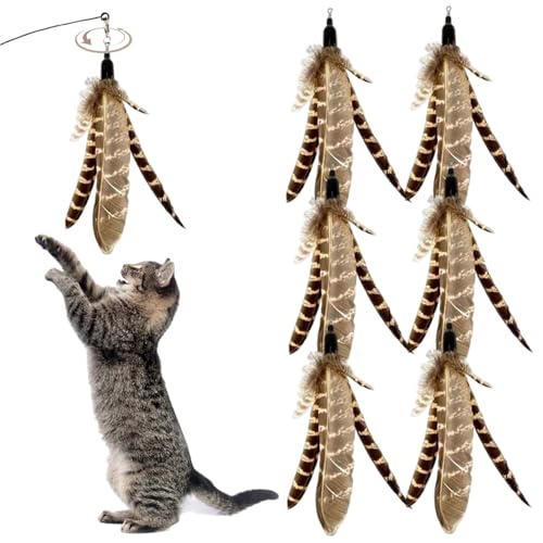 BEAHING 6pcs Katzenfedern Spielzeug, Katzenstabbefestigungen, natürliche Vogelfedern Katzen -Zauberstab, interaktiv BEAHING 6pcs Katzenfedern Spielzeug, Katzenstabbefestigungen, natürliche Vogelfedern Katzen -Zauberstab, interaktiv von BEAHING