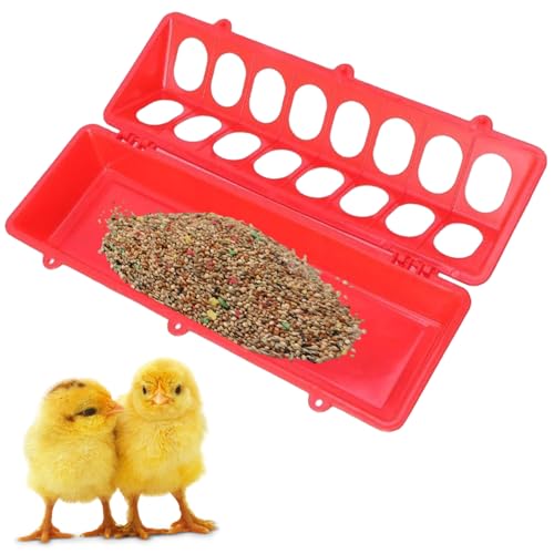 Hühnerfutterautomaten, Hühnerfuttertrog, Flip-Top-Plastik wiederverwendbar, BPA kostenlos, Spill Proof Farming Tool Hülle für Geflügel, Vogel, Gänse, Ente, Baby Chick von BEAHING