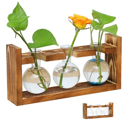 Pflanzenpropagationsstationen Pflanzen Terrarium Glasspflanzer mit Holzstand für Hydroponische Pflanzen Büro Hausdekoration, Pflanzen -Terrarium von BEAHING