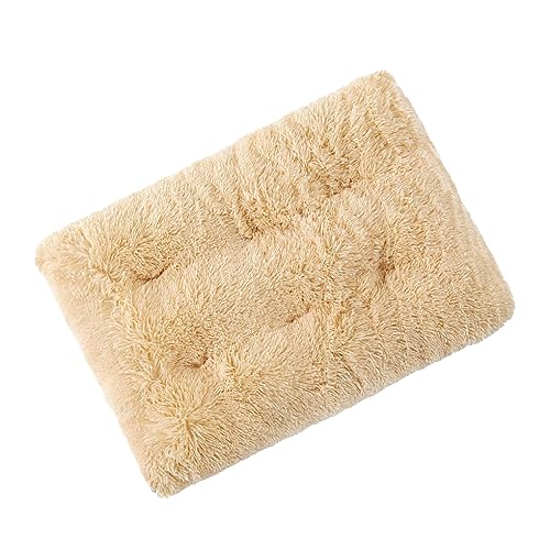 BEALIFE Bequemes und weiches Hundekissen – leicht zu reinigen, langlebiges Hundekäfigbett, Hundebettmatte, Haustierbett, Aprikose, XS BEALIFE Bequemes und weiches Hundekissen – leicht zu reinigen, langlebiges Hundekäfigbett, Hundebettmatte, Haustierbett, Aprikose, XS von BEALIFE