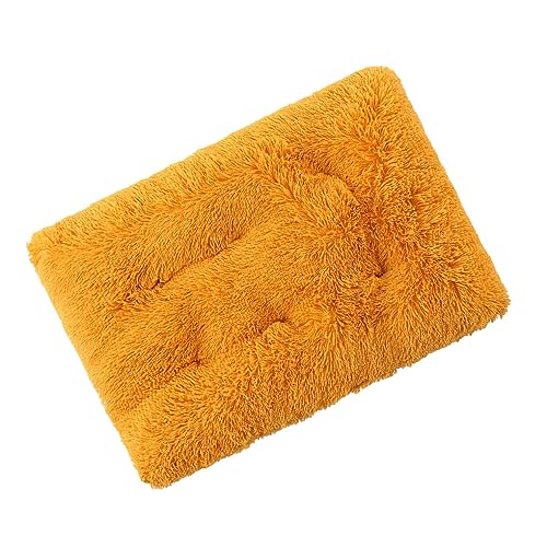 BEALIFE Bequemes und weiches Hundekissen – leicht zu reinigen, langlebiges Hundekäfigbett, Hundebettmatte, Haustierbett, Gold, XS BEALIFE Bequemes und weiches Hundekissen – leicht zu reinigen, langlebiges Hundekäfigbett, Hundebettmatte, Haustierbett, Gold, XS von BEALIFE