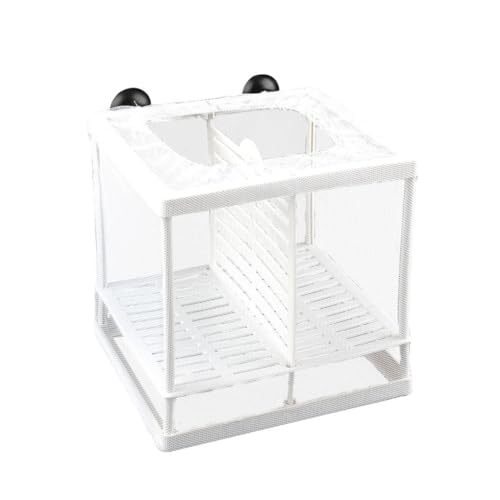 BEALIFE Einfach zu montierende Fischzucht Isolierungsbox aus Kunststoff für Aquarien – aus Materialien gefertigte Aquarium Fischbrut Zuchtbox, 16 * 15 * 14.5cm von BEALIFE