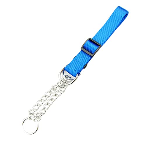 BEALIFE Haustierhalsband aus Metall, tragbar, universell, verstellbar, für den Außenbereich, Camping, Wandern, Laufen, Laufen, Haustiere, Abschleppen, Halsband, Zubehör, Nylonblau BEALIFE Haustierhalsband aus Metall, tragbar, universell, verstellbar, für den Außenbereich, Camping, Wandern, Laufen, Laufen, Haustiere, Abschleppen, Halsband, Zubehör, Nylonblau von BEALIFE
