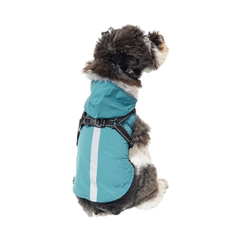 BEALIFE Hunde Regenmantel mit Reflektierung sorgt für Sichtbarkeit bei Nacht, wasserdichte Regenjacke für Hunde mit Kapuze, Polyester, schöne Geschenke, stilvoll, Grün, M von BEALIFE