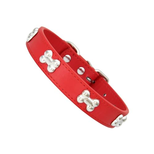 BEALIFE Hundehalsband für geliebtes Haustier, stilvolle verstellbare Schnallen, knochenförmiges Hundehalsband, PU Halsband für Hunde, Hundehalsbänder, Haustierhalsband, Rot, XL von BEALIFE