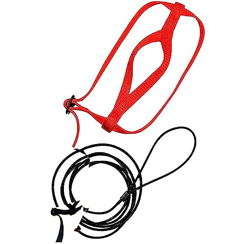 BEALIFE Vogelgeschirr Nylonleine Trainingsseil Belastbarkeit Outdoor Zubehör Mehrzweckfestigkeit Anti Biss Sicherheit Heimtierbedarf BEALIFE Vogelgeschirr Nylonleine Trainingsseil Belastbarkeit Outdoor Zubehör Mehrzweckfestigkeit Anti Biss Sicherheit Heimtierbedarf von BEALIFE