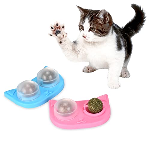 2 Stück Katzenminze Balls für Katzen Drehbares Spielzeug für Katzen Natürliches Zahnreinigung Dental Kätzchen Kauspielzeug Wandspielzeug für Katzenkätzchen hält den Mund frisch, Gesunder Darm von BEAUTYBIGBANG