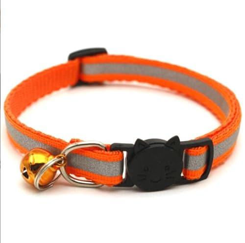 BEAUTYBIGBANG Leuchtendes Katzenhalsband Reflektierende Katzenhalsband Halsband Katze mit Sicherheitsverschluss,Verstellbar Kitten Halsband,Personalisiert Haustierzubehör BEAUTYBIGBANG Leuchtendes Katzenhalsband Reflektierende Katzenhalsband Halsband Katze mit Sicherheitsverschluss,Verstellbar Kitten Halsband,Personalisiert Haustierzubehör von BEAUTYBIGBANG