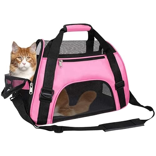 BEAUTYBIGBANG Transportbox für Hunde und Katzen Atmungsaktive Katzentransporttasche, Katzentransportbox mit Schultergurt bequem tragbar Tragetasche Katze für Reisen/Auto/Zug/Flugzeug (L) von BEAUTYBIGBANG