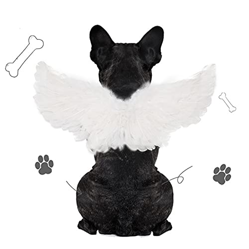 Haustier Halloween Engel Teufel Flügel Kostüm, Cosplay Für Katzen Und Hunde, Perfektes Requisiten Deko Zubehör (S, Weiß) von BEAUTYBIGBANG