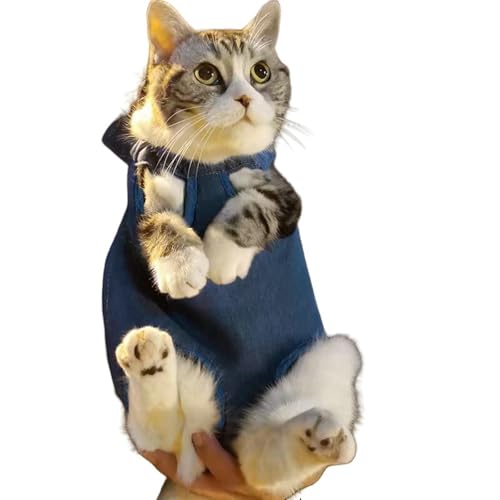 BEAUTYC Katzenrucksack Haustiertasche, Outdoor-Tasche, Mobile Katze, Tragbare Katze, Klappbare Katzentasche von BEAUTYC