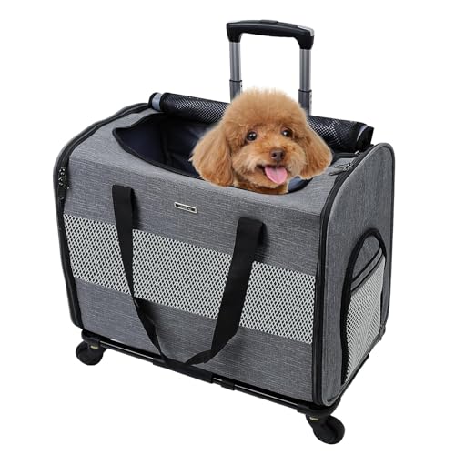 BEAUTYMONKEY.K Hundetransportbox mit Rollen für Klein Hunde, Haustiertransportbox mit Rollen für kleine Hunde und Katzen bis 10kg, Hundetasche mit Rollen Ideal für Chihuahua Schnauzer BEAUTYMONKEY.K Hundetransportbox mit Rollen für Klein Hunde, Haustiertransportbox mit Rollen für kleine Hunde und Katzen bis 10kg, Hundetasche mit Rollen Ideal für Chihuahua Schnauzer von BEAUTYMONKEY.K