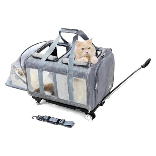 BEAUTYMONKEY.K Katzen Trolley für 2 Katzen - Transportboxen Katze mit Rollen für Zwei Tiere - Transporttasche mit Rollen & Abnehmbarem Untergestell, Ideal für Reisen, Tierarzt & Camping (55x44x33cm) BEAUTYMONKEY.K Katzen Trolley für 2 Katzen - Transportboxen Katze mit Rollen für Zwei Tiere - Transporttasche mit Rollen & Abnehmbarem Untergestell, Ideal für Reisen, Tierarzt & Camping (55x44x33cm) von BEAUTYMONKEY.K